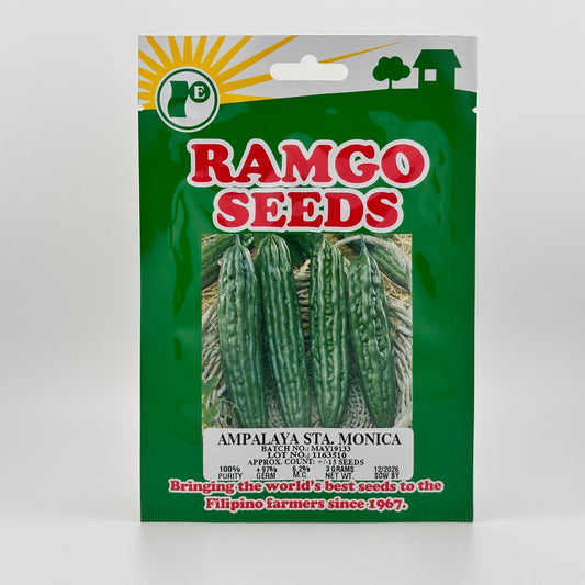 Ampalaya Sta. Monica (PACK) - RAMGO SEEDS