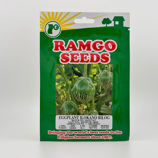 Eggplant Ilokano Bilog (PACK) - RAMGO SEEDS