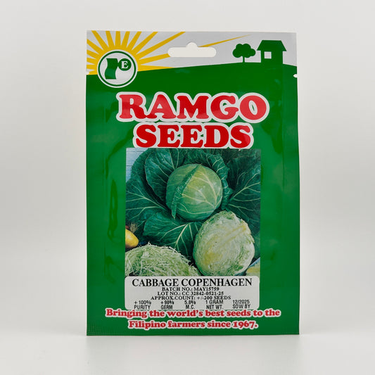 Cabbage Copenhagen (PACK) - RAMGO SEEDS